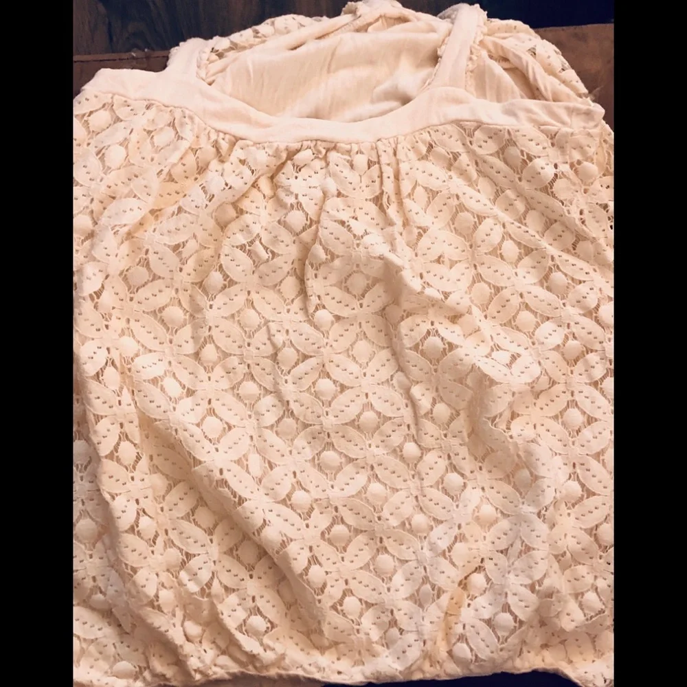 Anthro Ella Moss Cream Eyelet Floral Lace top